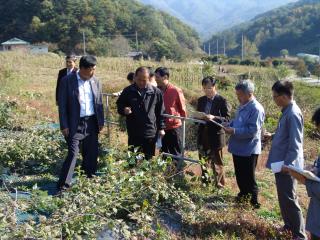 제127회 임시회 현장확인(복분자 재배단지 육성시헙)20071022.10